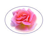 Baiden Magical Mitten Logo